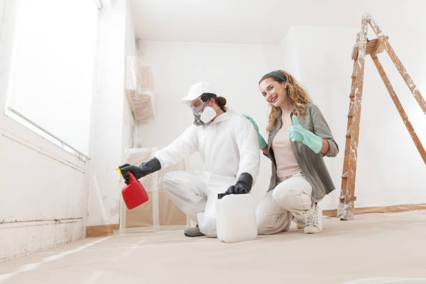 Best Mold Damage Restoration  in Trumann, AR